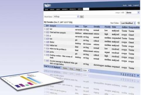 Bug Tracking