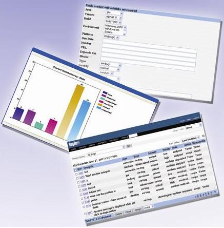 Bug Tracking